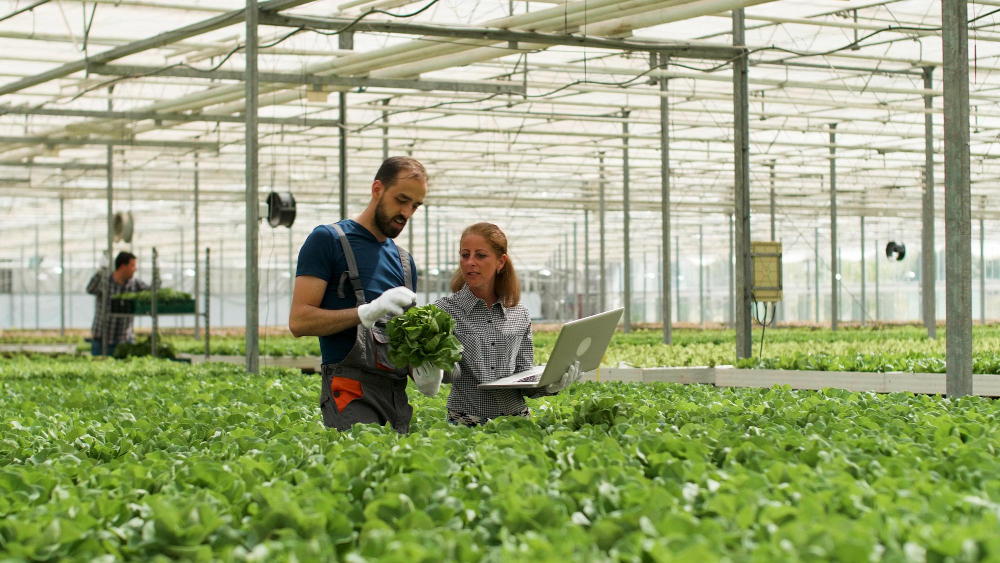 MBA in Agribusiness Management Abroad
